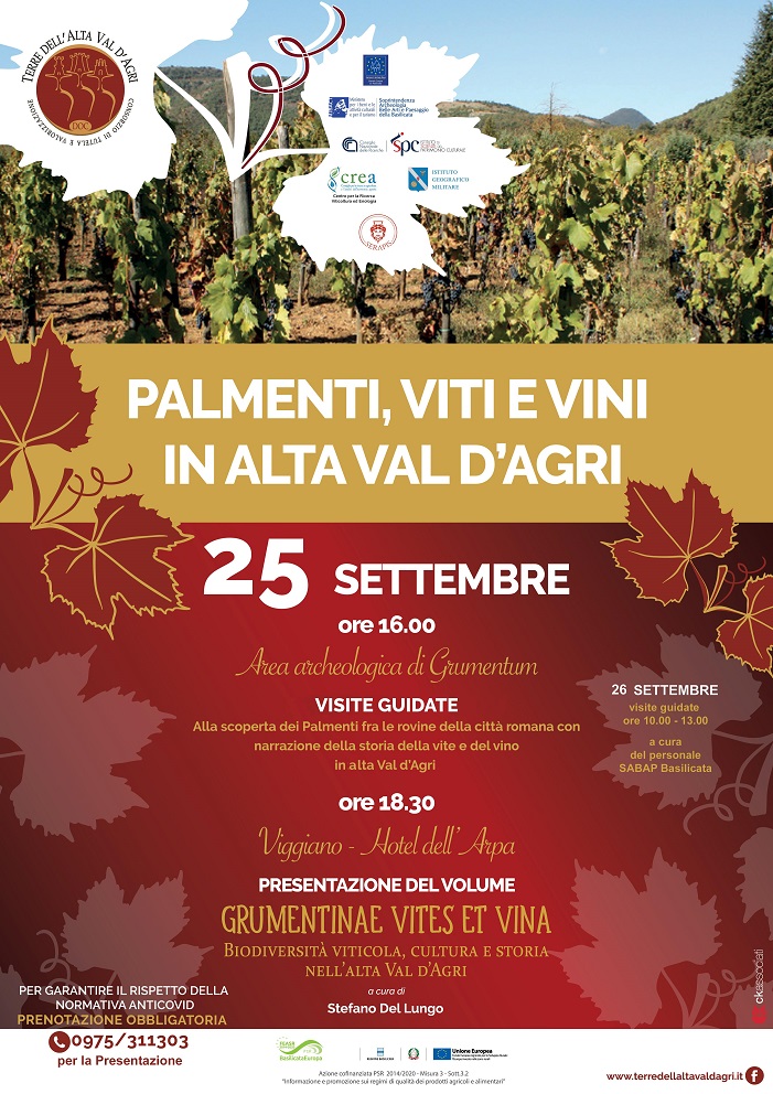 Palmenti, viti e vini in alta Val D'Agri